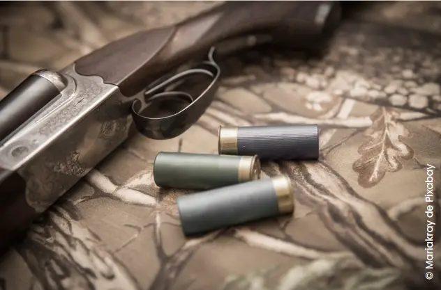 Armes & Munitions civiles